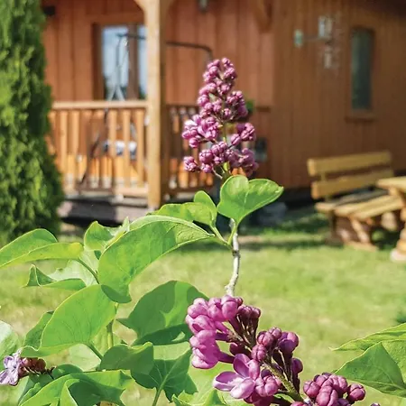 Дом отдыха Holiday Cisowa N-929 *